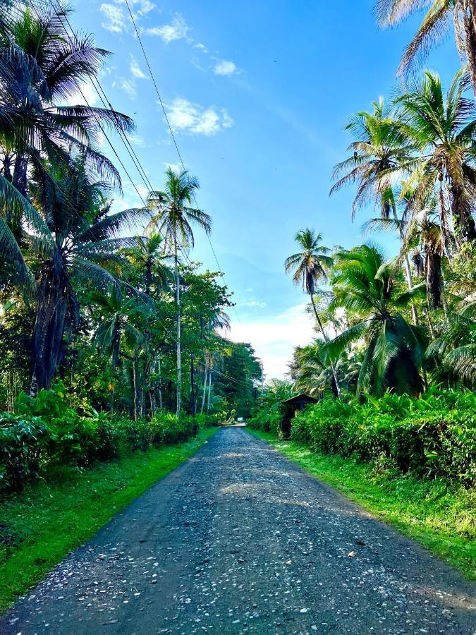 Whispering Wisdom Cahuita Exterior foto