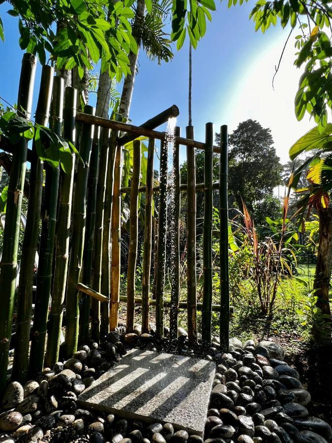 Whispering Wisdom Cahuita Exterior foto